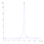 Human IL-31 RA Protein (ILR-HM1RA)