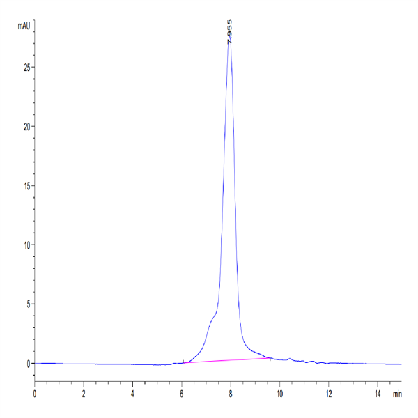 Human IL-31 RA Protein (ILR-HM1RA)