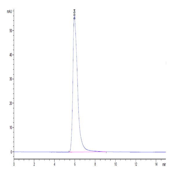 Human IL-15RA/IL-15 R alpha/CD215 Protein (ILR-HM215)