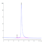 Human IL-22R alpha 1 Protein (ILR-HM222)