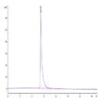 Human IL-23R Protein (ILR-HM223)
