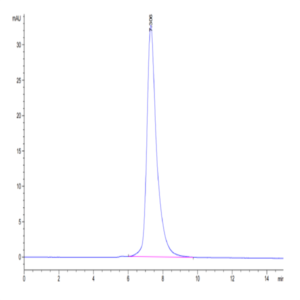 Human IL-22R alpha 1&IL-10R beta Protein (ILR-HM2AB)