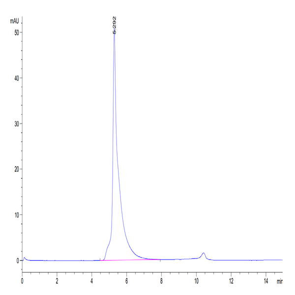 Human IL-2 R beta&IL-2 R gamma Protein (ILR-HM2BG)