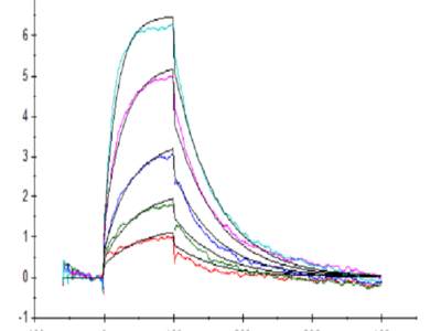 Human IL-13Ra1 Protein (ILR-HM2R1)