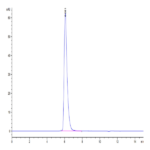 Human IL-13Ra1 Protein (ILR-HM2R1)