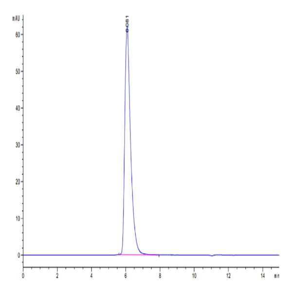 Human IL-13Ra1 Protein (ILR-HM2R1)