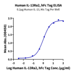Human IL-13Ra2 Protein (ILR-HM2R2)