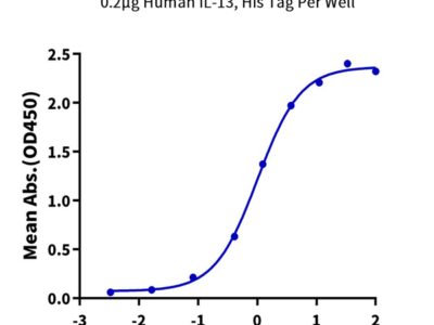 Human IL-13Ra2 Protein (ILR-HM2R2)