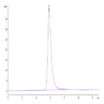 Human IL-13Ra2 Protein (ILR-HM2R2)