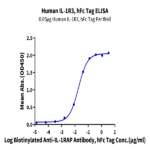 Human IL-1R3/IL-1 RAcP Protein (ILR-HM2R3)