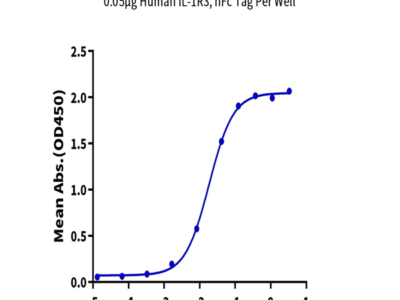 Human IL-1R3/IL-1 RAcP Protein (ILR-HM2R3)