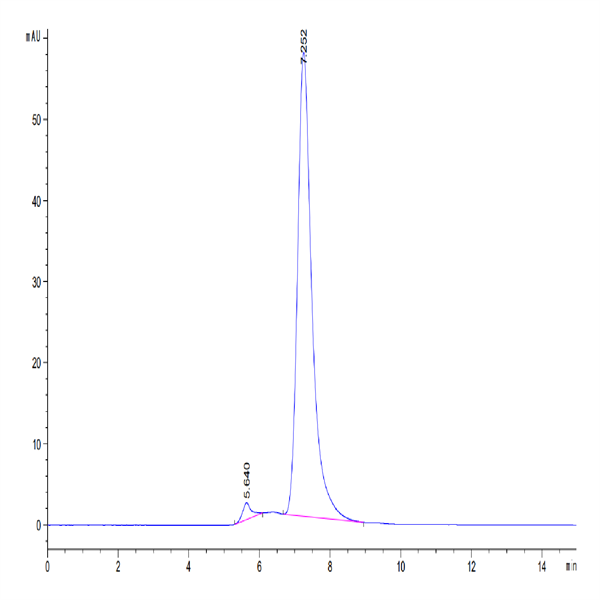 Human IL-1R3/IL-1 RAcP Protein (ILR-HM2R3)