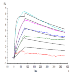 Human IL-31 RA Protein (ILR-HM2RA)