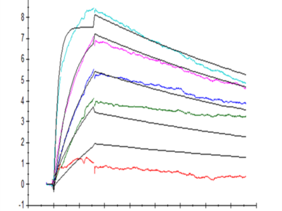 Human IL-31 RA Protein (ILR-HM2RA)