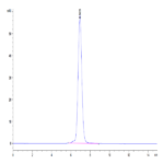 Human IL-31 RA Protein (ILR-HM2RA)