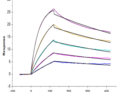 Human IL-23R Protein (ILR-HM323)