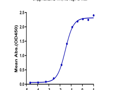 Biotinylated Human IL-17R alpha/CD217 Protein (ILR-HM417B)