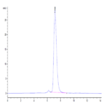 Biotinylated Human IL-17R alpha/CD217 Protein (ILR-HM417B)