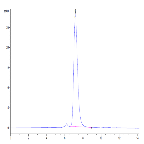 Biotinylated Human IL-17R alpha/CD217 Protein (ILR-HM417B)
