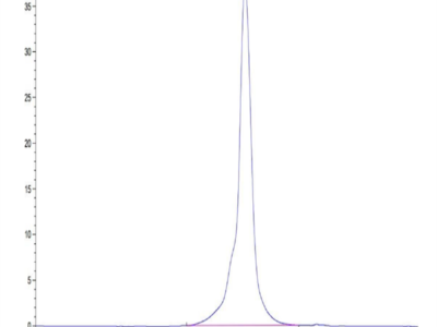 Human IL-27RA/TCCR Protein (ILR-HM427)