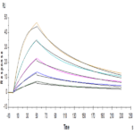 Human IL-5 R alpha/CD125 Protein (ILR-HM45R)