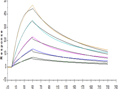 Human IL-5 R alpha/CD125 Protein (ILR-HM45R)