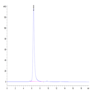 Biotinylated Human IL-5 R alpha/CD125 Protein (ILR-HM45RB)