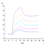 Human IL-6 R alpha/CD126 Protein (ILR-HM46R)