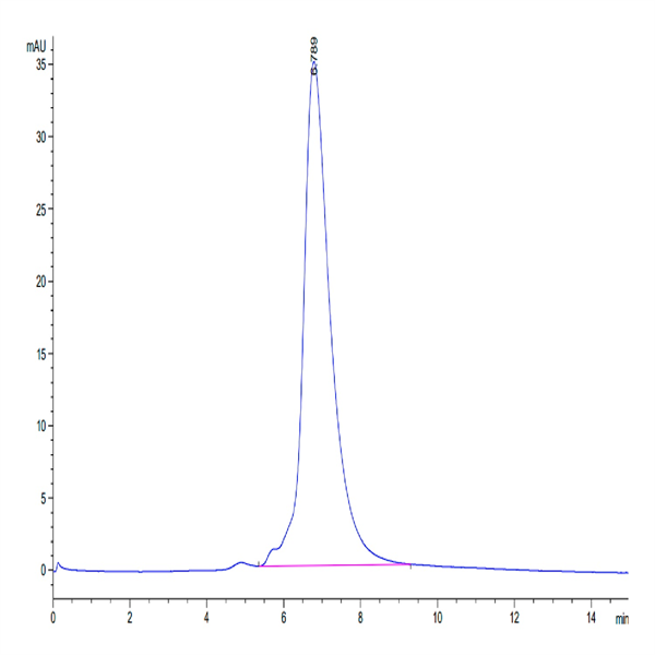 Human IL-6 R alpha/CD126 Protein (ILR-HM46R)