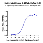 Biotinylated Human IL-13Ra1 Protein (ILR-HM4R1B)