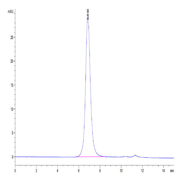 Biotinylated Human IL-13Ra1 Protein (ILR-HM4R1B)