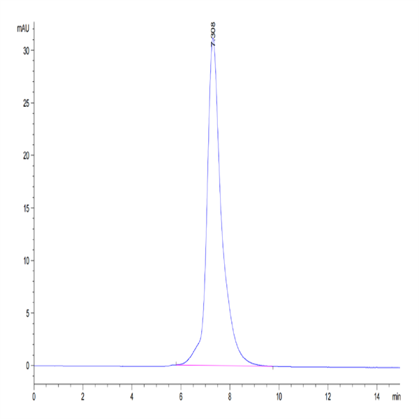 Biotinylated Human IL-22R alpha 1&IL-10R beta Protein (ILR-HM5ABB)
