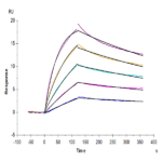 Mouse IL-23R Protein (ILR-MM123)