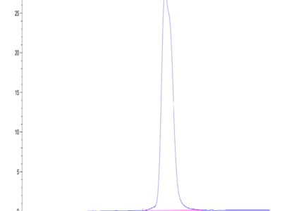 Mouse IL-13Ra1 Protein (ILR-MM1R1)