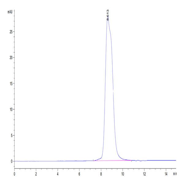 Mouse IL-13Ra1 Protein (ILR-MM1R1)
