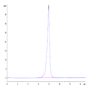 Mouse IL-31 RA Protein (ILR-MM1RA)