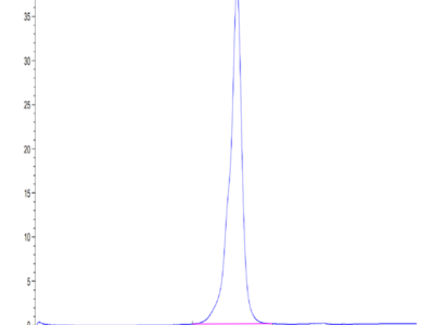 Mouse IL-31 RA Protein (ILR-MM1RA)