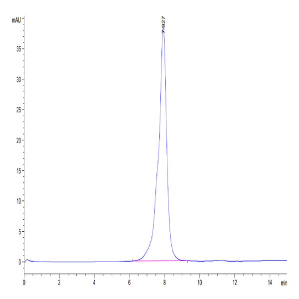 Mouse IL-31 RA Protein (ILR-MM1RA) Mouse IL-31 RA Protein (ILR-MM1RA)