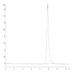 Rat IL-22R alpha 1 Protein (ILR-RM122)