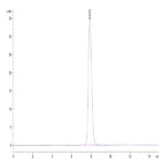 Rat IL-22R alpha 1 Protein (ILR-RM222)