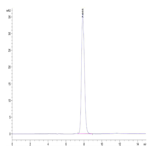 Rat IL-22R alpha 1 Protein (ILR-RM222)