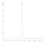 Rat IL-13Ra2 Protein (ILR-RM2R2)