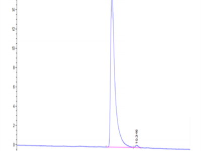 Mouse IGSF11 Protein (ISF-MM111)