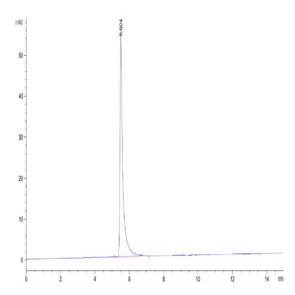 Cynomolgus Integrin alpha V beta 3 (ITGAV&ITGB3) Heterodimer Protein (ITG-CM1V3)