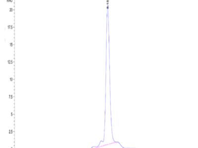 Human Integrin alpha 2B beta 3 (ITGA2B&ITGB3) Heterodimer Protein (ITG-HM12B)