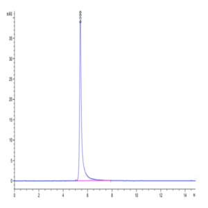 Human Integrin alpha 2 beta 1 (ITGA2&ITGB1) Heterodimer Protein (ITG-HM1AB)