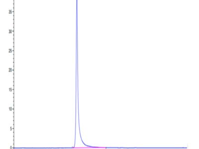 Human Integrin alpha 2 beta 1 (ITGA2&ITGB1) Heterodimer Protein (ITG-HM1AB)