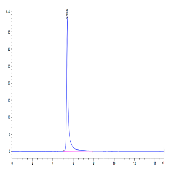 Human Integrin alpha 2 beta 1 (ITGA2&ITGB1) Heterodimer Protein (ITG-HM1AB) Human Integrin alpha 2 beta 1 (ITGA2&ITGB1) Heterodimer Protein (ITG-HM1AB)