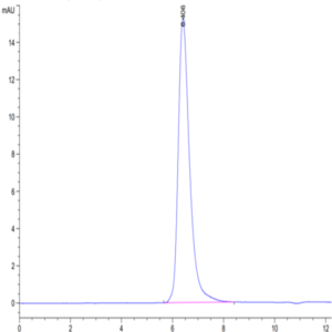 Human ITGB6 Protein (ITG-HM1B6)