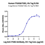 Human Integrin alpha X beta 2 (ITGAX&ITGB2) Heterodimer Protein (ITG-HM1XB)